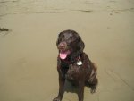 Picture 005.jpg