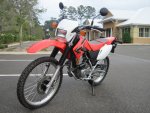 2008CRF-230L.jpg
