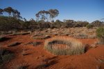 Naked-Outback---Anne-Beadell-Highway_20131005_6066.jpg