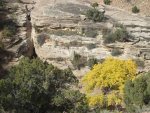 bangs canyon .jpg
