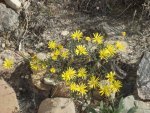 bangs canyon (17).jpg