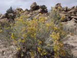 bangs canyon (18).jpg