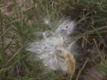 bangs canyon (21).jpg