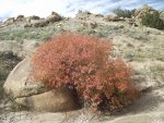 bangs canyon (33).jpg