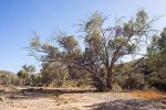 Naked-Outback---Arkaroola_20131014_7107.jpg