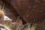 Naked-Outback---Arkaroola_20131014_7179.jpg