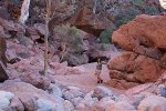 Naked-Outback---Arkaroola_20131015_7486.jpg