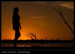 Naked-Outback---Fort-Grey-Sunrise-1.jpg