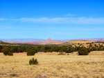 Swell Nov. 2013 010.jpg
