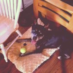 photo 3.JPG photo 3.JPG