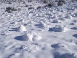 PeachValleySnow12-5-2013 062.jpg