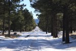 Elk Spring Snow.jpg