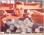 Cool Hand Luke.jpg