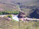 100_0986-tiltshift.jpg