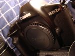 DSC07518.JPG