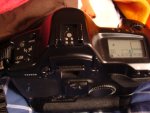 DSC07523.JPG