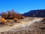 015_saline_valley.jpg