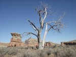 SanRafaelReefGoblinDirtyDevil1-20-22,2014 064.jpg