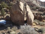 SanRafaelReefGoblinDirtyDevil1-20-22,2014 570.jpg