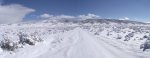 PeachNewSnowAndGoldenEagleRabbitKillSpot2-1-2014 062.jpg