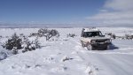 PeachNewSnowAndGoldenEagleRabbitKillSpot2-1-2014 065.jpg
