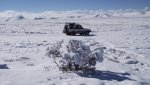 PeachNewSnowAndGoldenEagleRabbitKillSpot2-1-2014 059.jpg