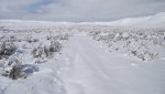 PeachNewSnowAndGoldenEagleRabbitKillSpot2-1-2014 076.jpg