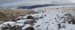 WinterYuccasAnd Desert2-7-2014 (23) (1600x650).jpg