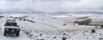 WinterYuccasAnd Desert2-7-2014 (251) (1600x625).jpg