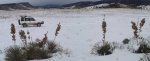 WinterYuccasAnd Desert2-7-2014 (152) (1600x643).jpg