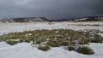 WinterYuccasAnd Desert2-7-2014 (197) (1600x1200).jpg