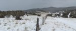 WinterYuccasAnd Desert2-7-2014 (382) (1600x652).jpg
