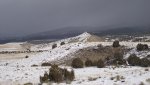 WinterYuccasAnd Desert2-7-2014 (411) (1600x899).jpg