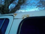IMG-20140211-00693.jpg
