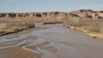 BullfrogDesertDaysFeb.17-20,2014 143.jpg