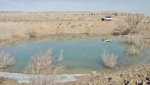 BullfrogDesertDaysFeb.17-20,2014 195.jpg