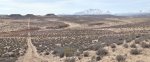 BullfrogDesertDaysFeb.17-20,2014 263.jpg