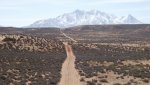 BullfrogDesertDaysFeb.17-20,2014 287.jpg