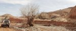 BullfrogDesertDaysFeb.17-20,2014 328.jpg