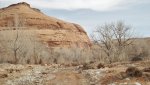 BullfrogDesertDaysFeb.17-20,2014 335.jpg