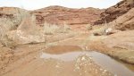 BullfrogDesertDaysFeb.17-20,2014 343.jpg
