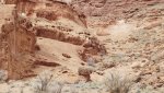 BullfrogDesertDaysFeb.17-20,2014 375.jpg