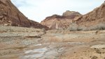 BullfrogDesertDaysFeb.17-20,2014 397.jpg