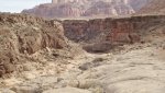 BullfrogDesertDaysFeb.17-20,2014 413.jpg