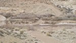 BullfrogDesertDaysFeb.17-20,2014 459.jpg