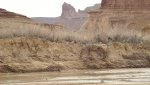 BullfrogDesertDaysFeb.17-20,2014 499.jpg