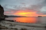 DSC_0019.jpg