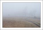 Foggy-morning-2.jpg