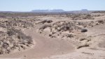 GreenRiverHanksvilleDesert3-12-15,2014 (207) (1600x899).jpg