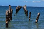 Old Pier Bridport.JPG